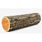 NZ log exports to China at record levels 